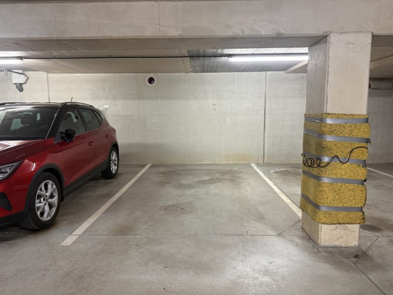 7699827_77785080.jpg