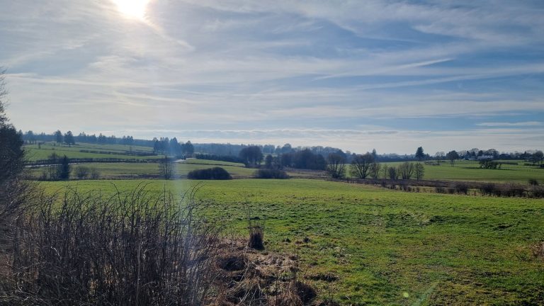 7540526_75303332.jpg