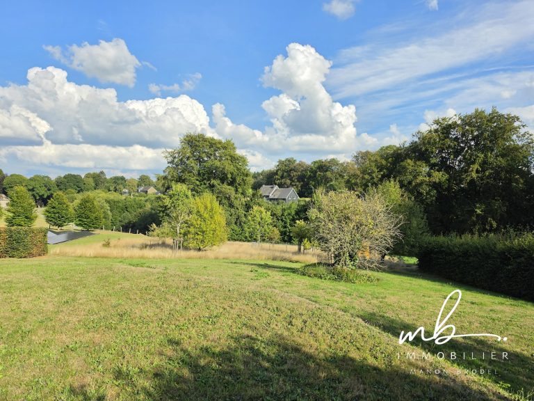 7921725_81487658.jpg